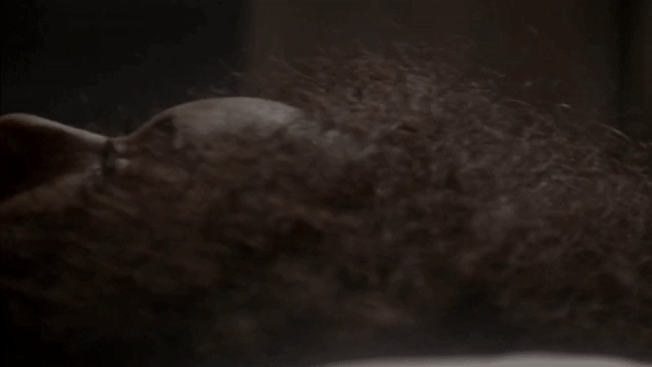 Gif of Lady Gaga kissing Angela Bassett on AHS
